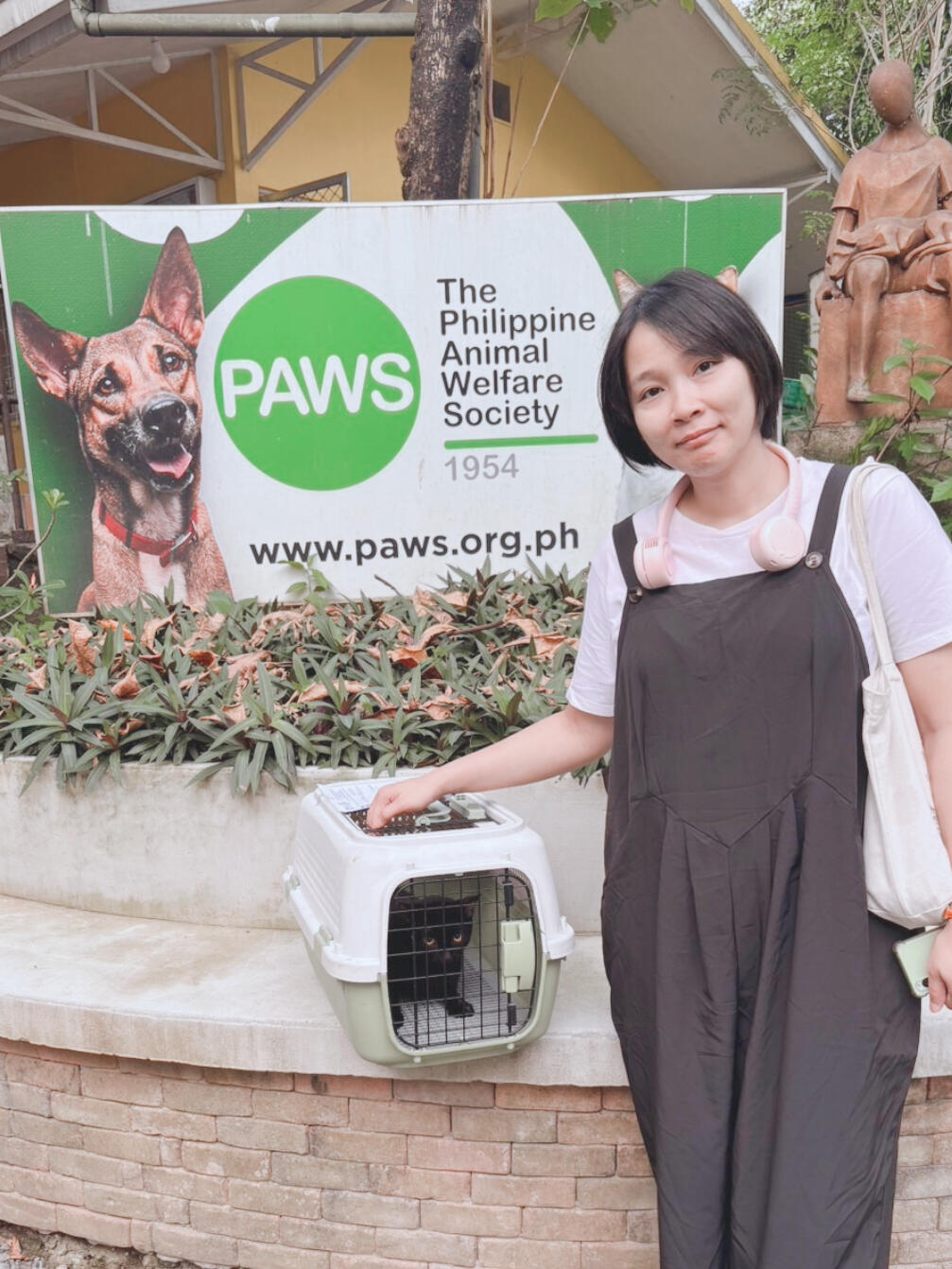 I am not affiliated with PAWS. I do avail their low-cost spay/neuter services for our community cats